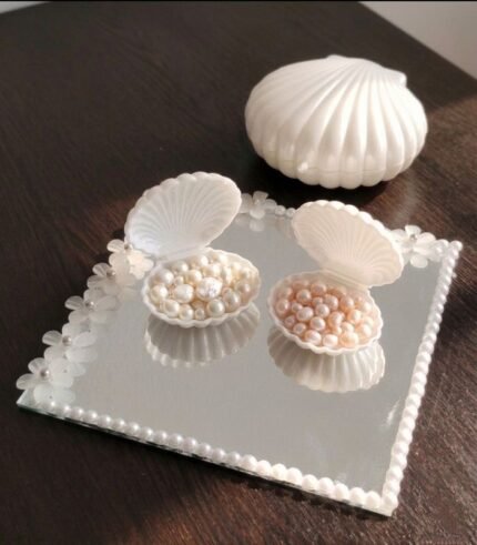 علبة محارة لؤلؤ أنيق